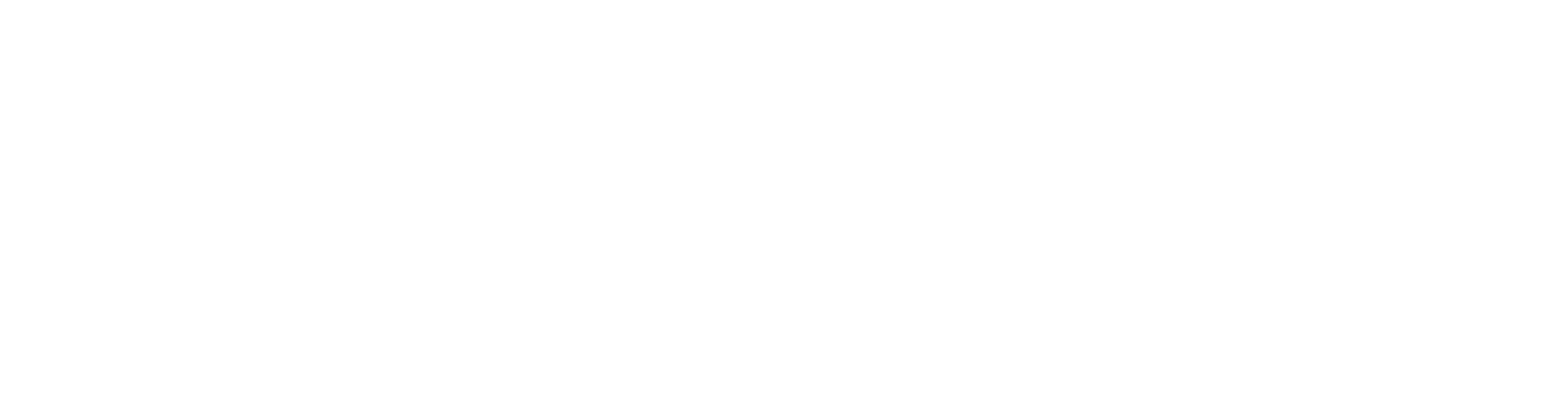 Bike Fitness Club Li'l Fit ロゴ